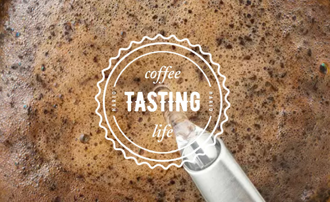 COFFEE TASTING LIFE